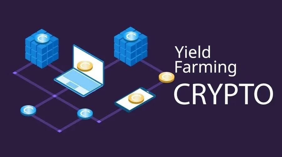 Image pour le guide Le Yield Farming Expliqué : Guide Complet sur la "Culture du Rendement" en DeFi